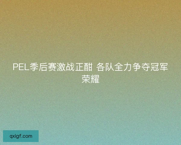 PEL季后赛激战正酣 各队全力争夺冠军荣耀
